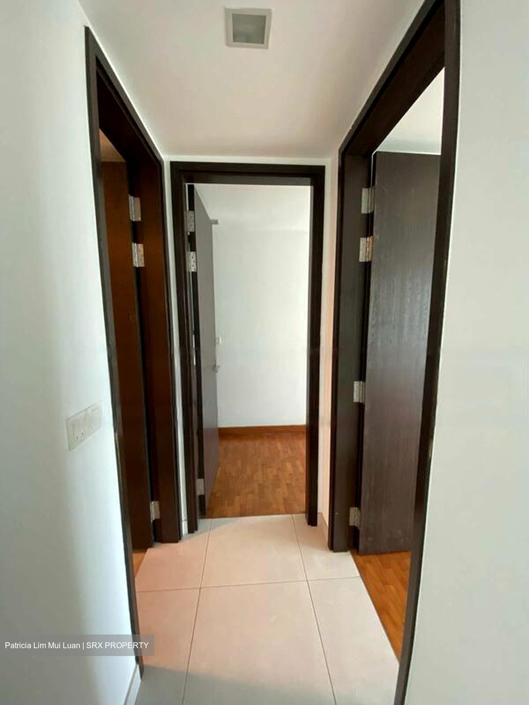 The Rochester Residences (D5), Apartment #454823851